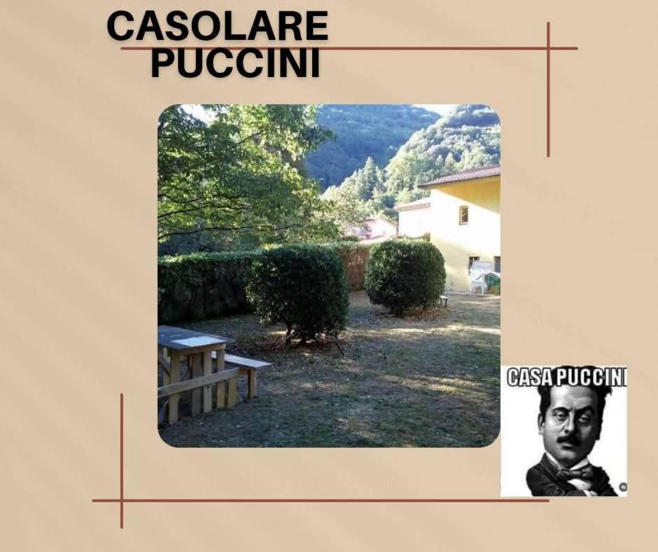 Апартаменты Casolare Puccini Баньи-ди-Лукка Экстерьер фото